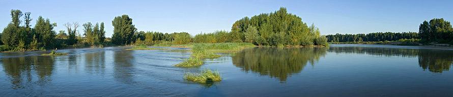 La Loire à hauteur de Montlouis