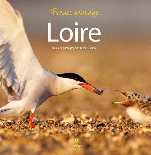 Loire par Olivier Simon