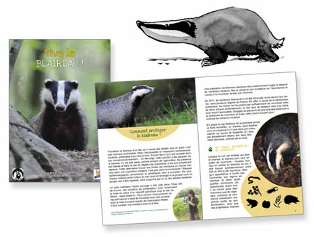 brochure-blaireau-ASPAS Blaireau ASPAS